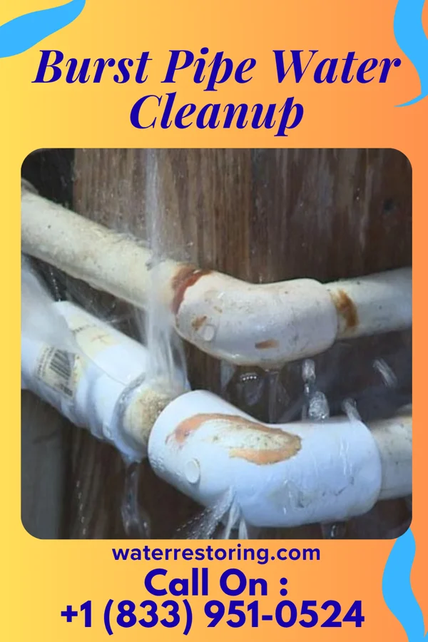 Burst Pipe Water Cleanup in Akron, IN