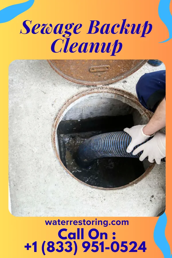 Sewage Backup Cleanup in Akron, IN