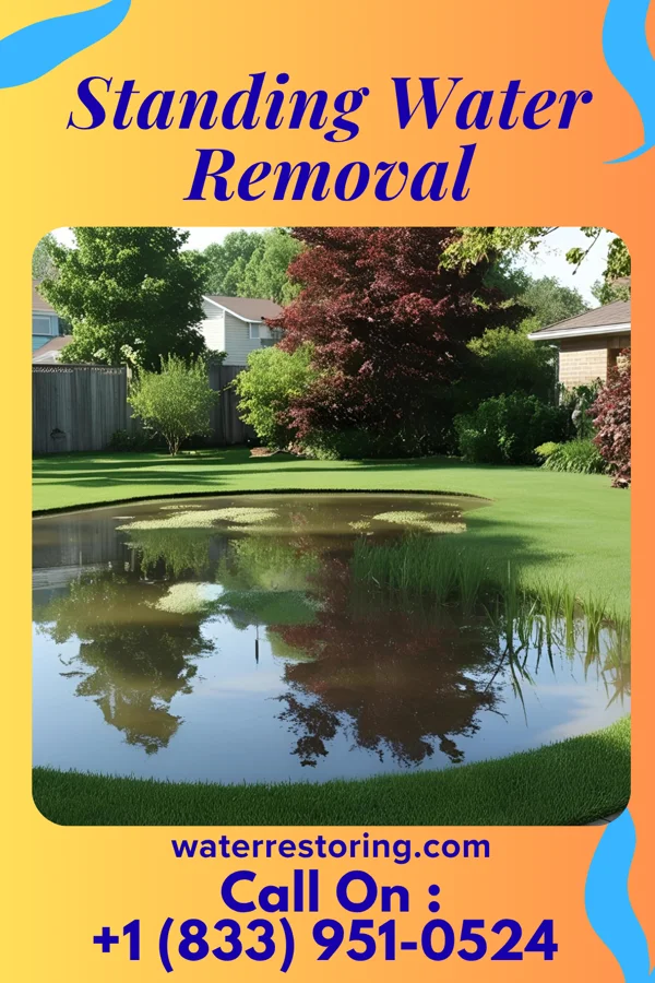 Standing Water Removal in Akron, IN